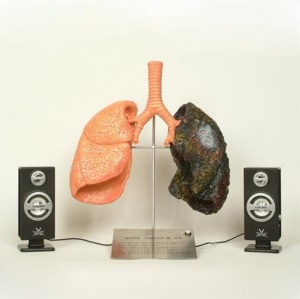 [HEC] 흡연자와 비흡연자의 폐 (오디오부착형)  KIM3-8
