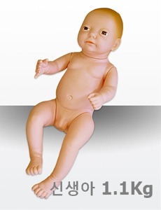신생아인형 신생아모형 KAR/Y4 (50cm,1.1Kg,남여선택) 신생아간호모형 산모 보건 교육 실습