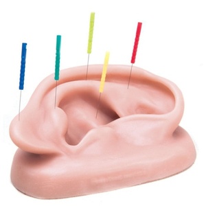 [3B] 오른쪽귀 침술실습모형 N15/1R (Acupuncture Ear,right)