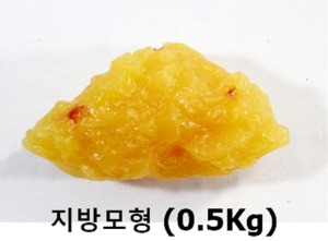 [나스코] 지방모형 (0.5Kgs) WA14533